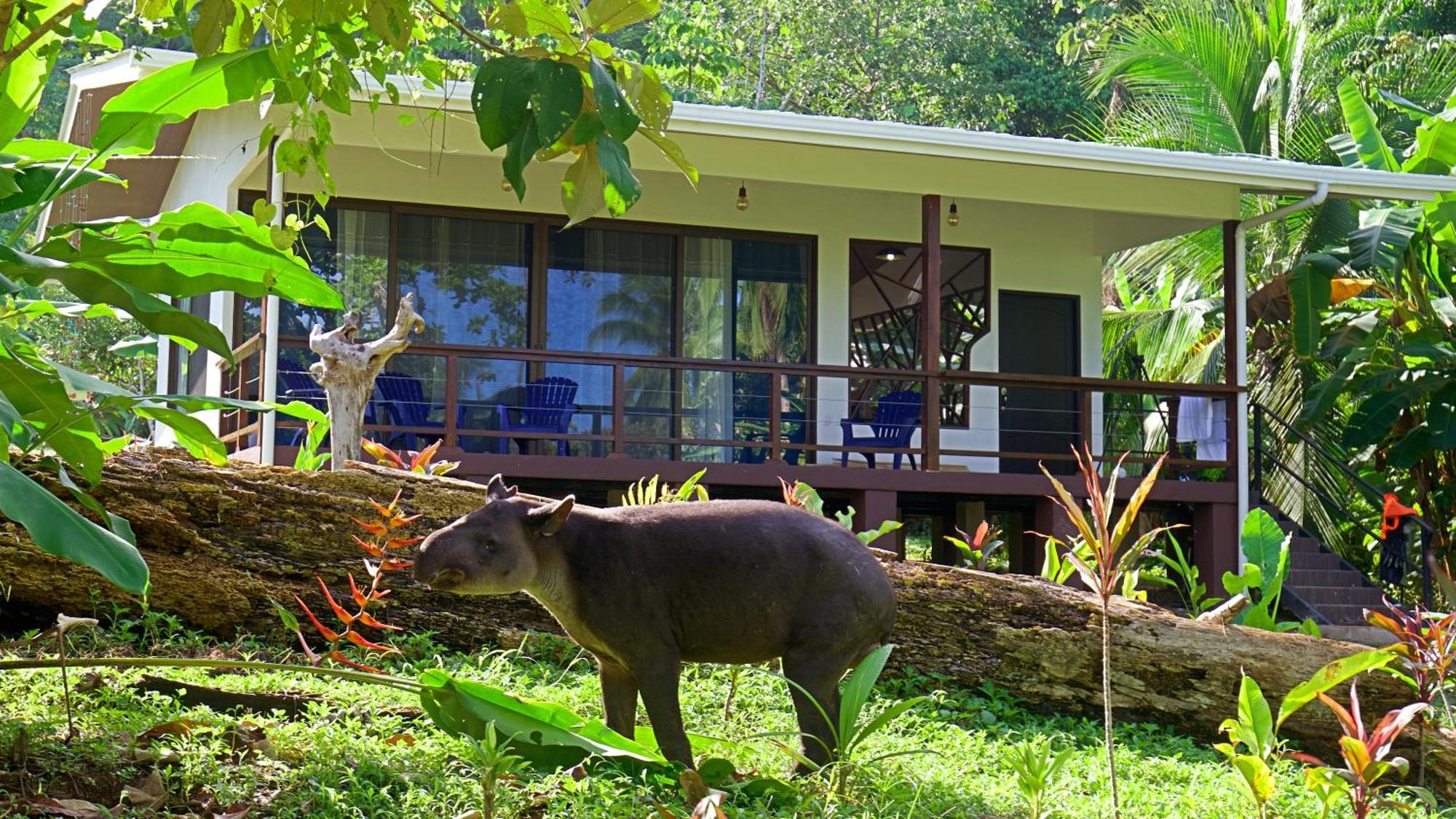 Eden Corcovado Villa San Pedrillo Ngoại thất bức ảnh